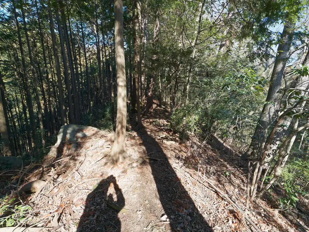 このあたりですでに歩きやすい道に。一般登山道と対して変わらないなあ、と思って歩いていた。（意味ありげに書いておいて、最後までそうなんですが）