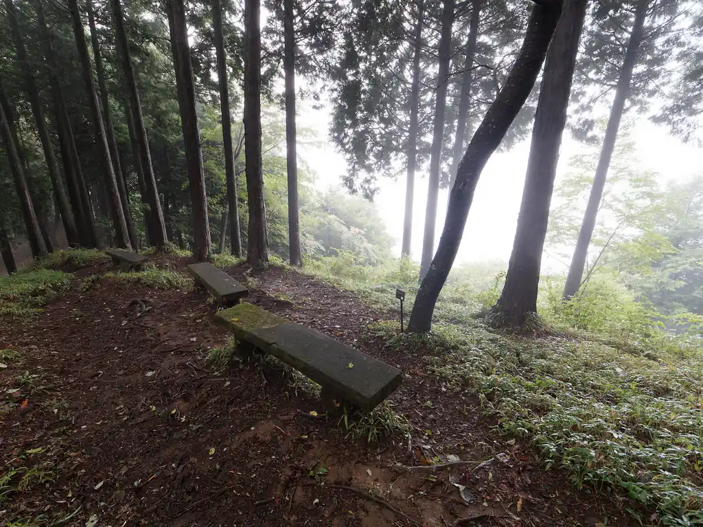 またベンチ。ここらへんは大岳山から下山で歩く人が多いんだろうな。