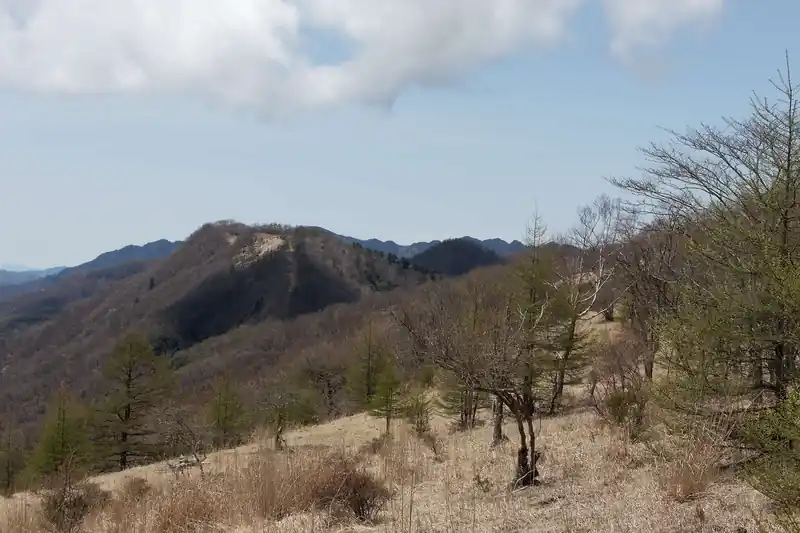 振り返って1枚。後ろ髪を引かれる思いです。