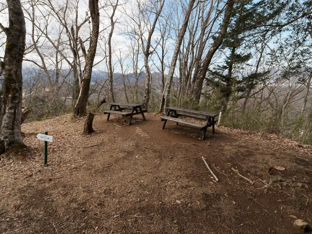 奥にベンチが2組。
この奥に下山路が続いているらしい。