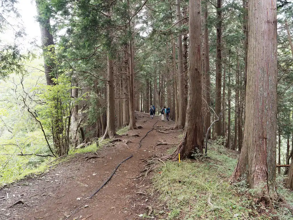 ようやく尾根に乗りました。思っていたより登山者がいて少し驚いています。
ビジターセンターには全然いなかったじゃーん、と。
