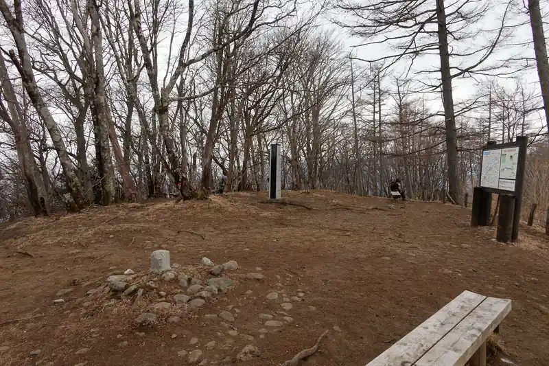 二度目の山頂。
誰ともすれ違わなかったのに、人が増えている、ということは境橋方面から歩いてきたのか、鋸山の方か…。
湯久保尾根という可能性ももちろんあるが…。