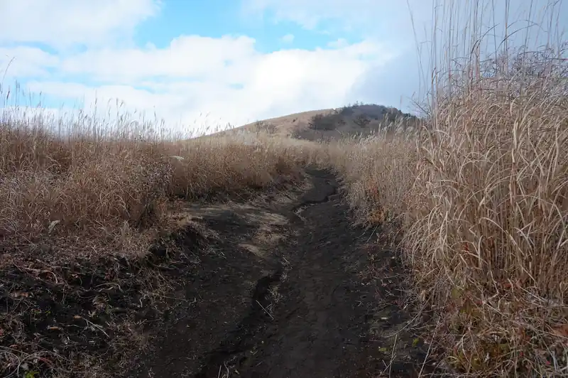 登山道とも遊歩道ともなんとも形容し難い道です。とにかくススキが刈られている道を進んでいきます。

しかし不老山に登ったときから思っていたんですが、このあたりの土は火山灰のような非常に水はけの良さそうなサラサラとした土です。
おそらく、富士山の噴火による火山灰が堆積した土壌なんでしょう。
この土が何度も靴に入って不快感が溜まっていきます。