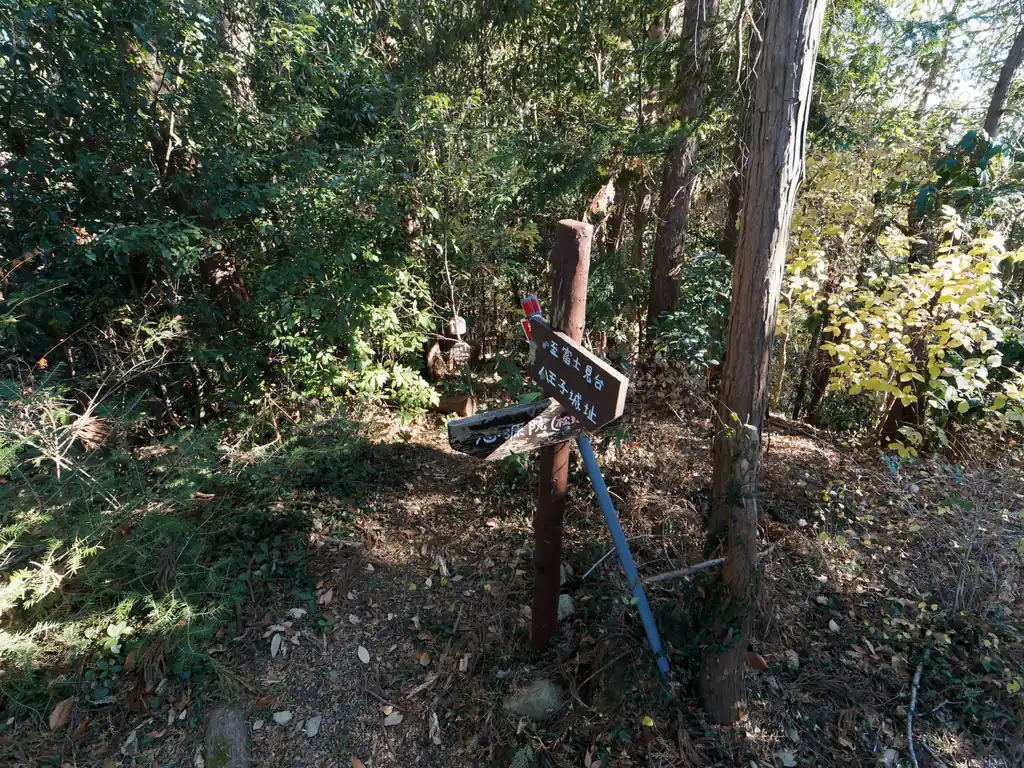 さっき、この道はわかりやすい、と書いたものの、とはいえ謎の踏み跡は数箇所あり、注意が必要。
大抵周りをよく見ると注意書きがあるので、周囲をよく見ながら進めば道に迷うことはないと思うが…。
なお、上の写真の場合だと、写真奥に踏み跡らしきものがあるのだが…