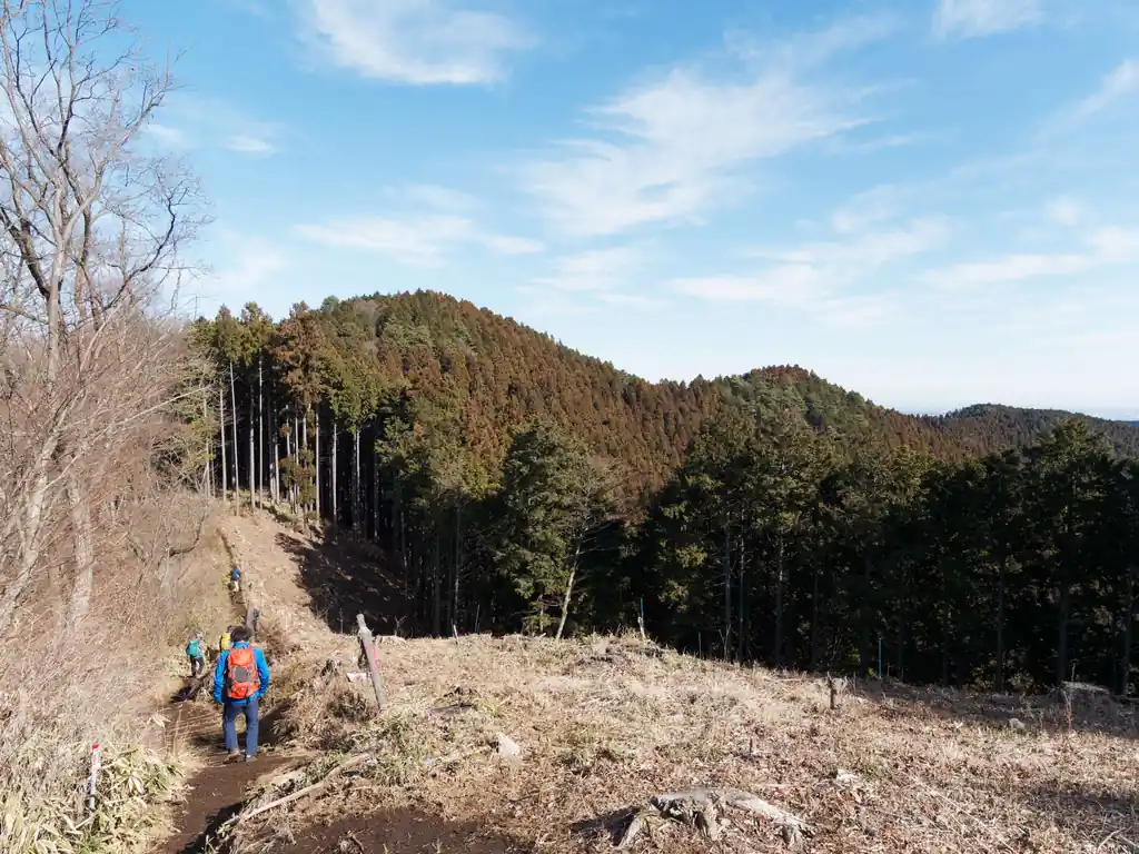 写真中央左の方に見えるぬかるんだ道がこのコース一番の難所だろう…。

右側は斜面になっていて、滑落防止のロープも張ってあるんだけど、道自体が狭いのと、何よりぬかるんでいて酷く滑るので緊張感がある。ここですれ違いはしたくないですねえ。

あと、この写真を撮っているところから景信山方面は下りになっていて、階段のようにステップもあるんだけど、そこもマジで滑りまくる。