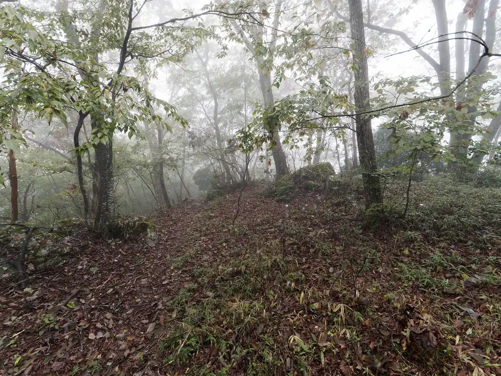 ようやく鶴脚山っぽいところに到着。ただここには山頂標がないので偽ピーク。本当のピークはこの先。