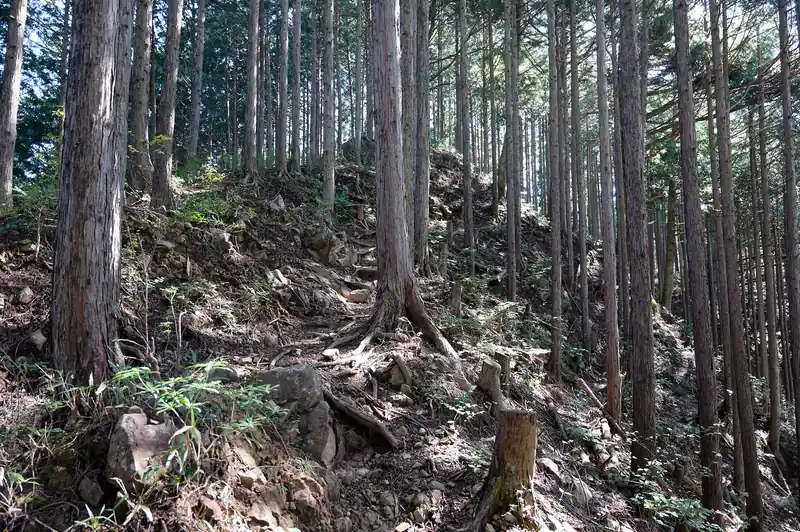 舗装路から登り返しが続く。