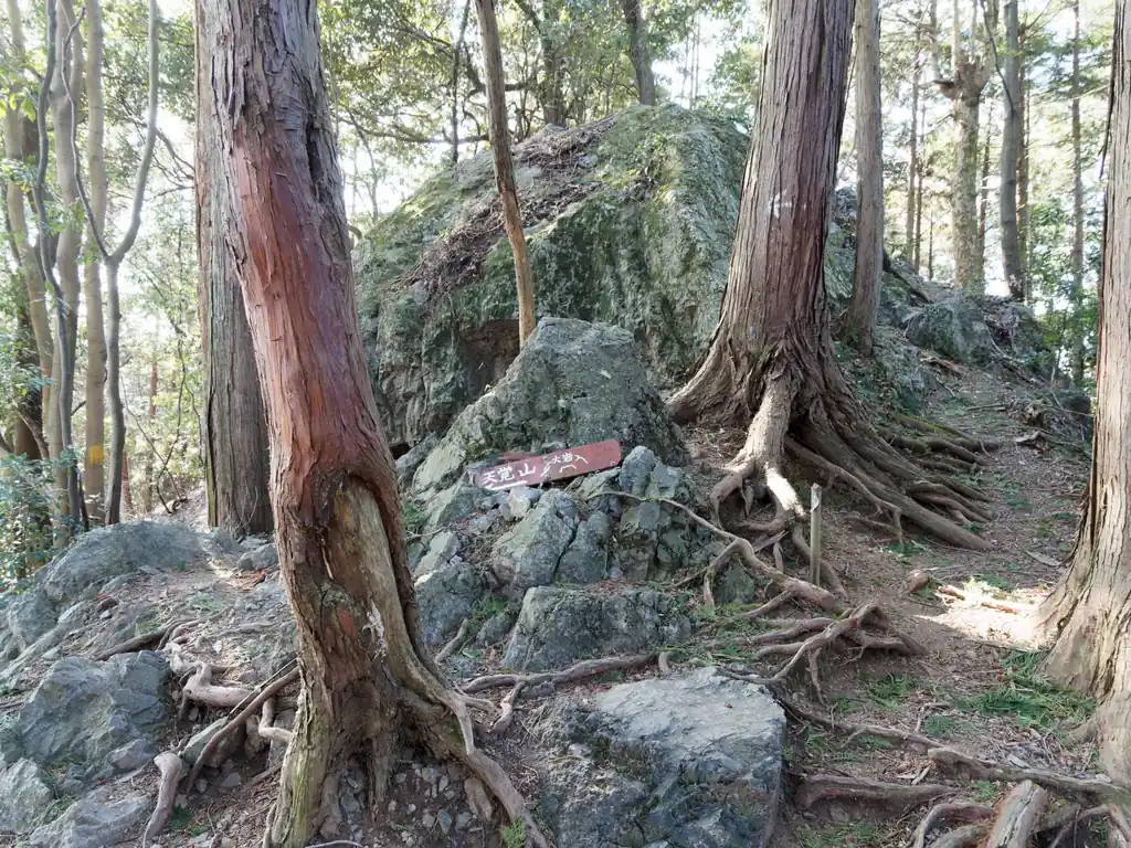 大岩。右は上級者向けらしい。左に巻き道があるので、岩場が苦手な人でも安心。