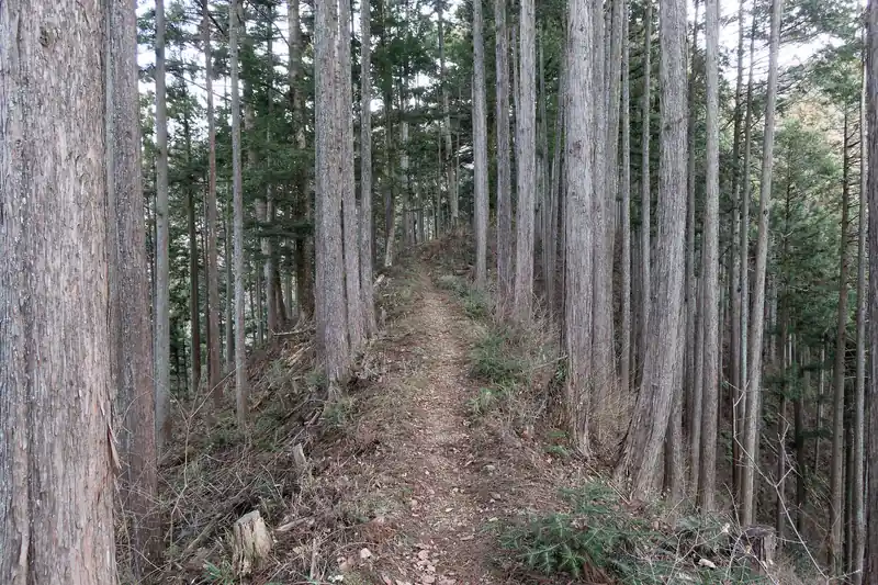 少し痩せた尾根もありつつ…