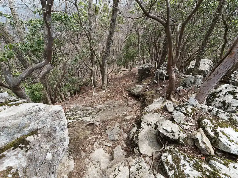 先まで進んで見るとなんてことない坂道が続いていました。
ここで後ろに登山者がついてきていたんですが、どうも岩茸石山へ行きたいのに私についてきてしまっただけっぽかった。