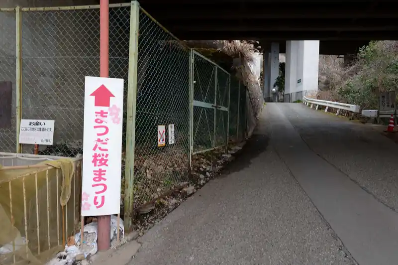 どうやら今日は「まつだ桜まつり」期間中らしい。
