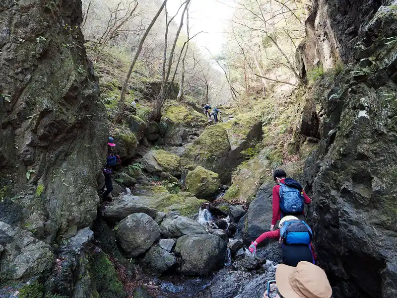 棒ノ折山が人気な理由は恐らくこのゴルジュ帯を歩くのが面白いからでしょう。
ほどほどの岩場が人気みたい。