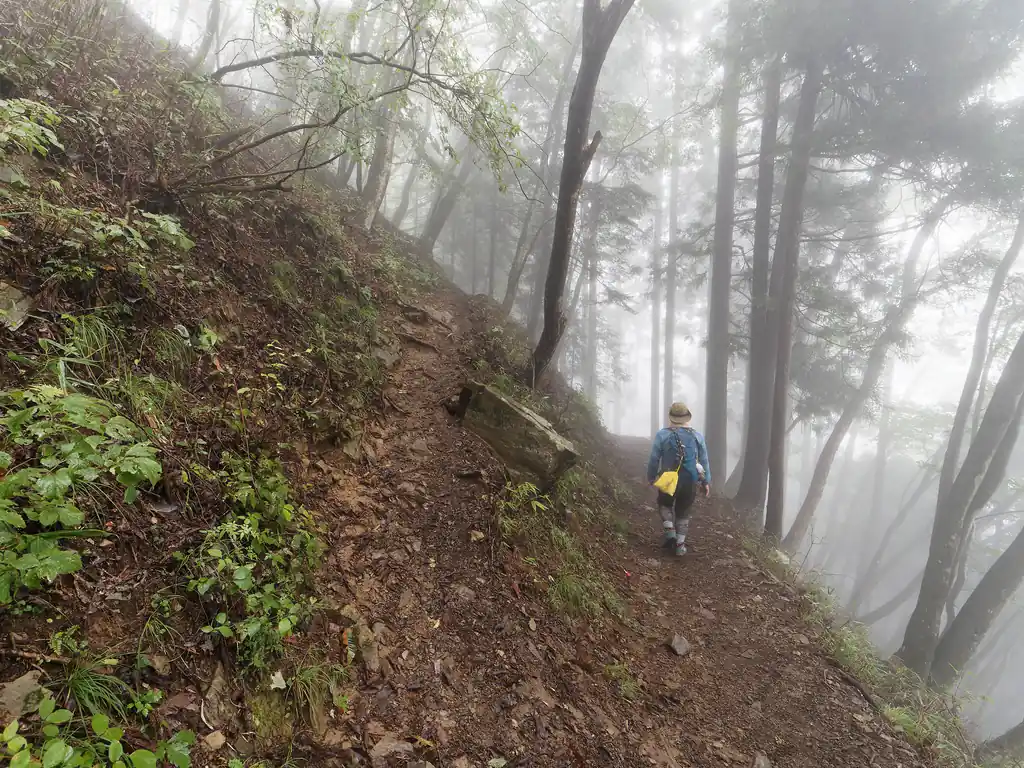 左が鍋割山。今回はロックガーデン経由で御岳山に向かうので直進。
