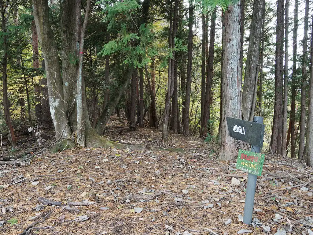 この鉄塔あたりから、尾崎山への登山道がある。尾崎山への道は確か赤破線路だったと思うのだが…なぜだか妙に尾崎山へ歩くことを誘う道標があった。