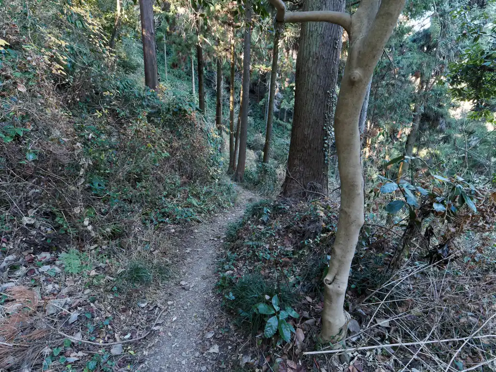 というわけで松竹バス停方面の道へ歩いていく。