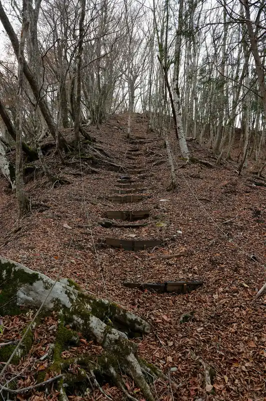ふ～この登りはやばいな。
えらい急登です。もう上は見ずに進むことだけ考えましょう。
まあポジティブに捉えるなら、登りで良かった、です。下りは結構怖いくらいの急登だと思います。