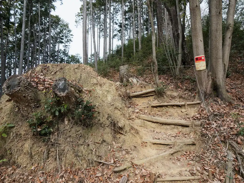 そんなこんなで男坂分岐まできた。
折角柏木山に来たので男坂を登ってから下山することにする。私はこの男坂がなかなか好きなんですよ。