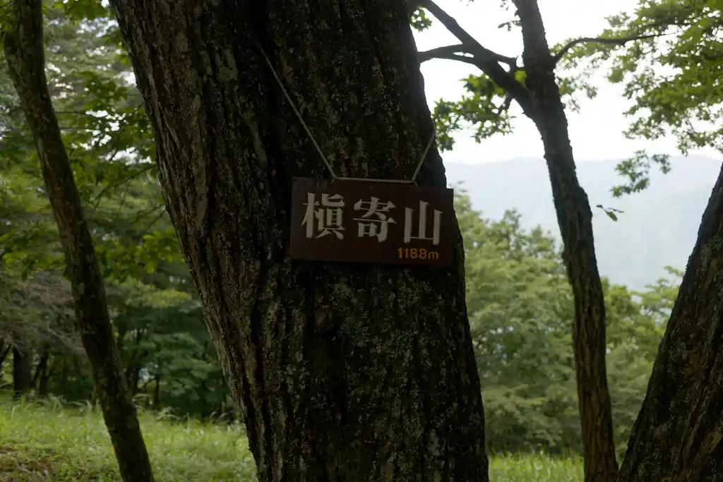 槇寄山に到着。
ここはベンチもあって見晴らしもよく、なかなか良かった。このあたりまではそこそこ人ともすれ違っていたんですが、この先の数馬温泉方面への分岐路以降、人とすれ違うことは稀になっていきます。
