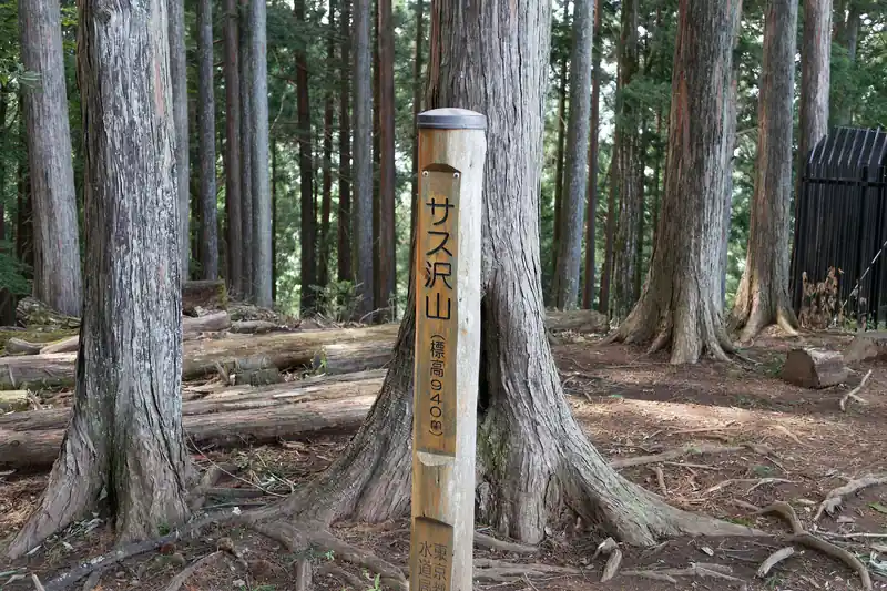 登り続けること1時間、サス沢山に到着。
シニアの登山者が一人休憩していたのだが、先行していた登山者は誰一人として見えず。

ここはベンチがあり、展望台もあるため休憩には適している。