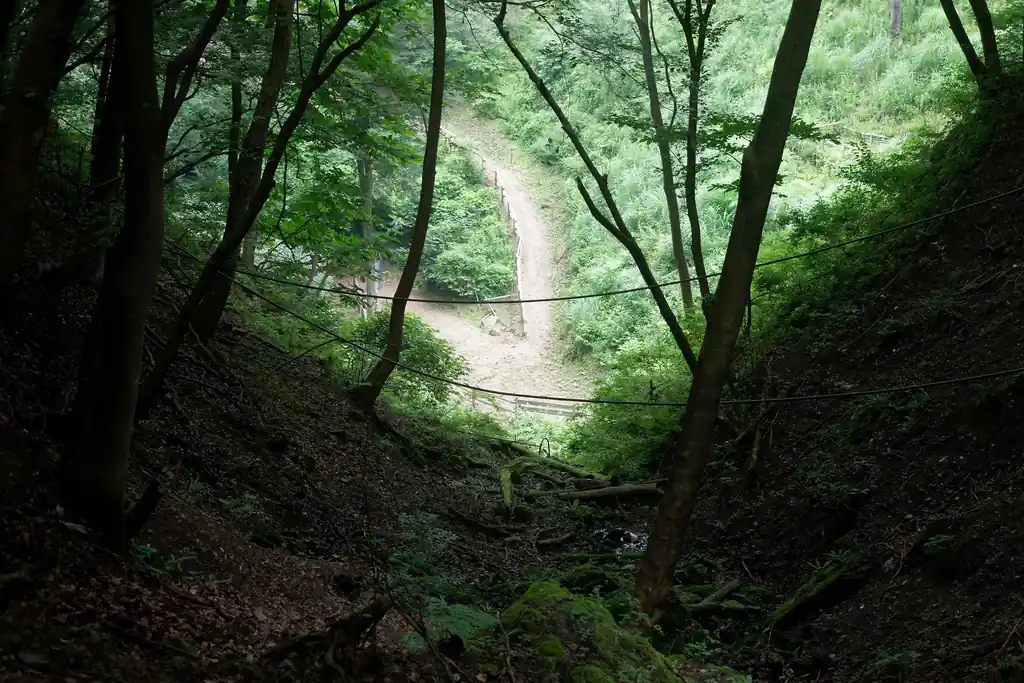 ここまで来るとわかりますね。芦ヶ久保の氷柱の会場だ、と。今は草やら木やらが茂っていて、わかりにくいですが。