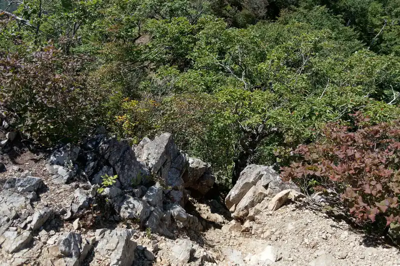 まずは清八山から三つ峠への縦走路に出る必要があるんですが、これどうやって降りればいいんだ…？としばし考えた結果、やはりこの崖のようなところを降りていくしかない、という結論に達しました。
ロープも何もないですが、慎重に行けばなんとかなりそうです。降りてみましょう。