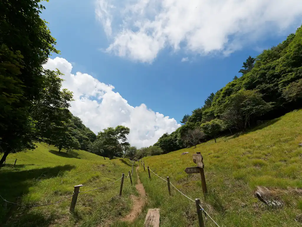 歩いてきた道を振り返って、夏だー！という感じがする景色。
入道雲が空を支配するようになると夏だなあ～と思いますね。