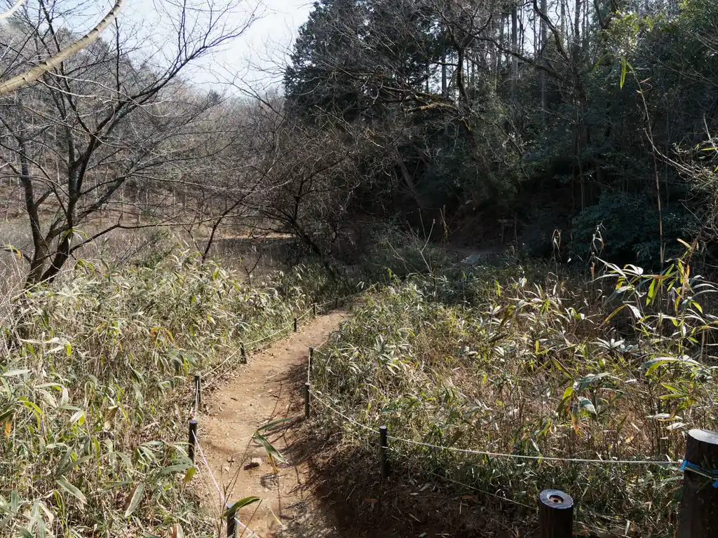 尾根伝いに天覧山に行く予定だったのですが、間違えて下りてきてしまいました。