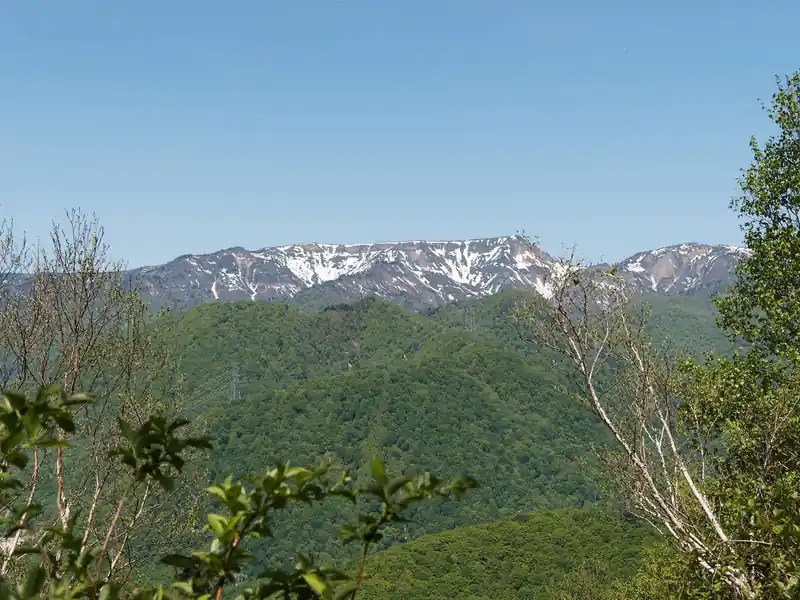振り返って苗場山。あのあたりはまだまだ雪が残ってますねえ。
一度は登ってみたいけど…。
