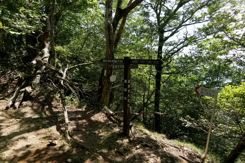 というわけで稜線に出てきました。
ここからもうちょっとだけ歩けば清八山です。