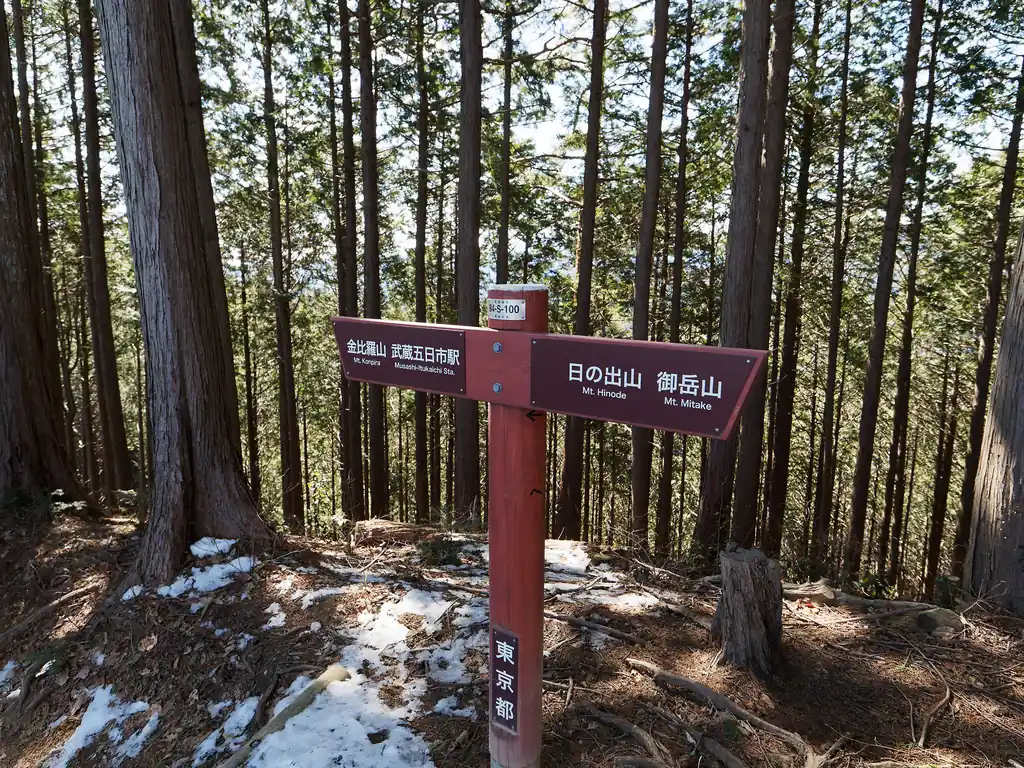 一般登山道に合流。