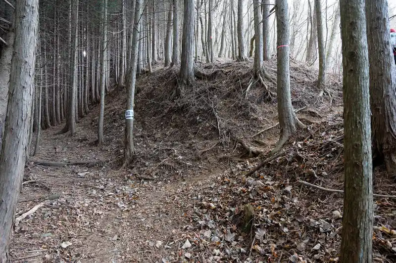 ここも一見真っ直ぐいけそうですが、道標の通り右の道を登って尾根を歩いていく。