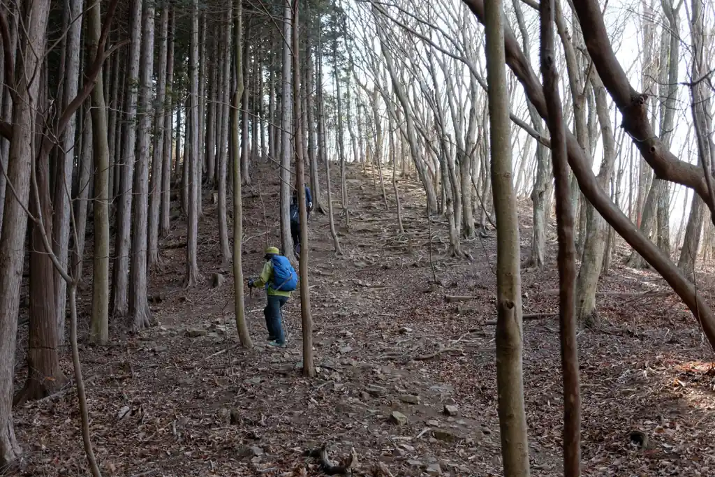 この最後の登りが辛いところ。ここを抜けるとパラグライダー発進場の開けたところに出ます。