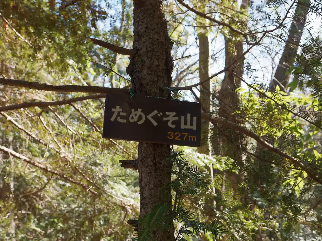 ためぐそ山に到着。もっと辺鄙な山頂なのかな、とか想像していたんですが、狭い山頂で特にクソも見つかりませんでした。