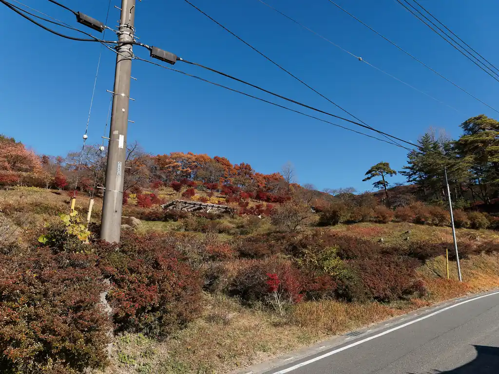 このあたりは紅葉が綺麗だった。奥武蔵の山は植林が多いが、横瀬丸山山頂付近とこのあたりは唯一植林の杉がないエリアだと思う。