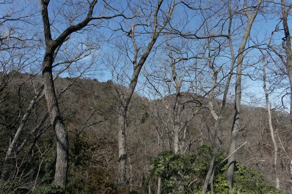 たぶん歩いてきた雷電山と思われる。