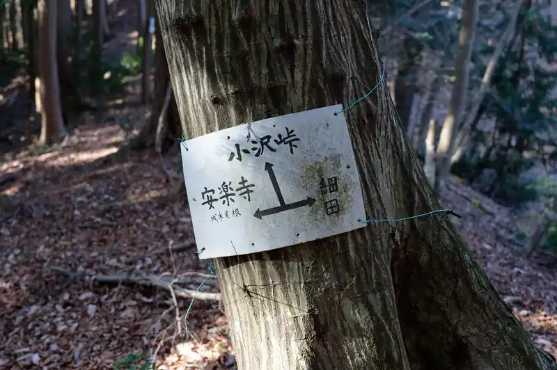 出ました、成木尾根と安楽寺。
以後、道標はたいてい安楽寺方面となっています。とにかく安楽寺を目指しましょう。