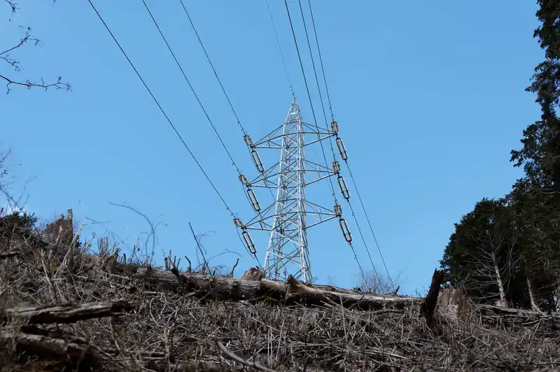 見上げると送電鉄塔でした。