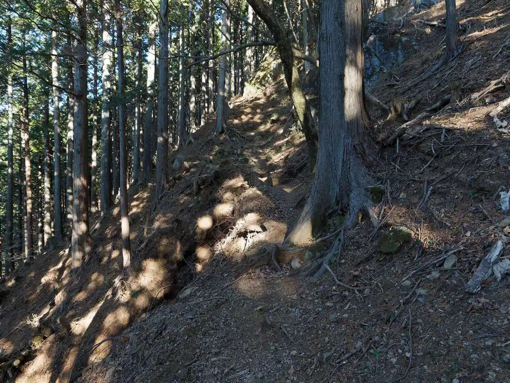 急坂を登っていくと、写真の崩落地のようなところに出る。
今回のコースで唯一の危険個所がこれだ。左側は急斜面で、道が細くなっているところは崩落しているのか切れ落ちている。
手前の木が若干邪魔なのだが、落ち着いて通れば問題なく通過できる。
逆に言うと、今回のコースで危険個所はこれくらいしかない。他は全体的にとても整備されていて歩きやすい道だ。

ここを通過するのが嫌だ、という場合は、先ほどの分岐で蓑毛越まで歩いて尾根を登るというのもいいかもしれない。少し遠回りだけど。