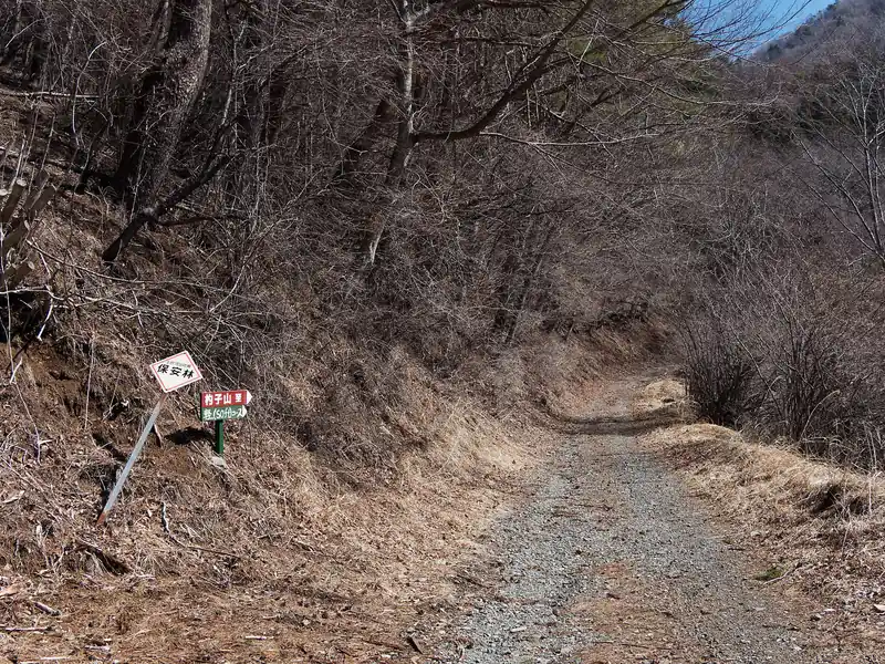 そしてこちらは沢コースに繋がる道。