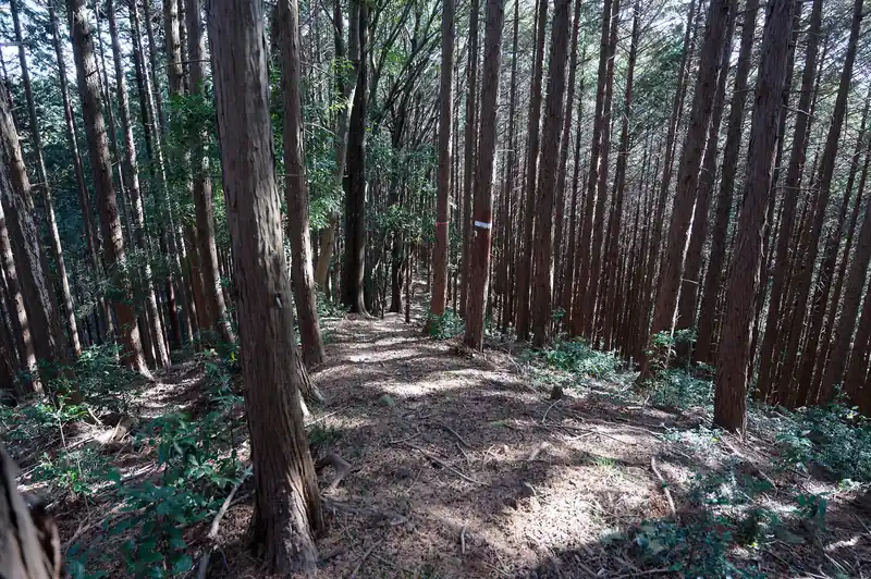 道の雰囲気がまた変わって牧歌的な感じになってきました。
