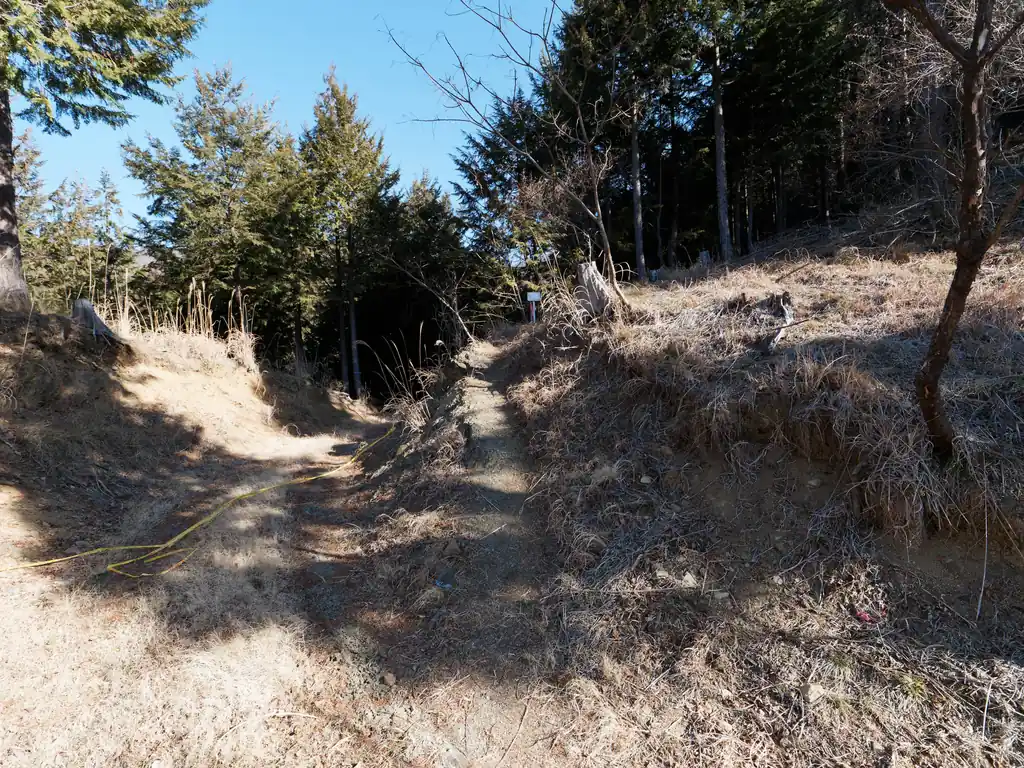 脇にある登山道へ再び。
