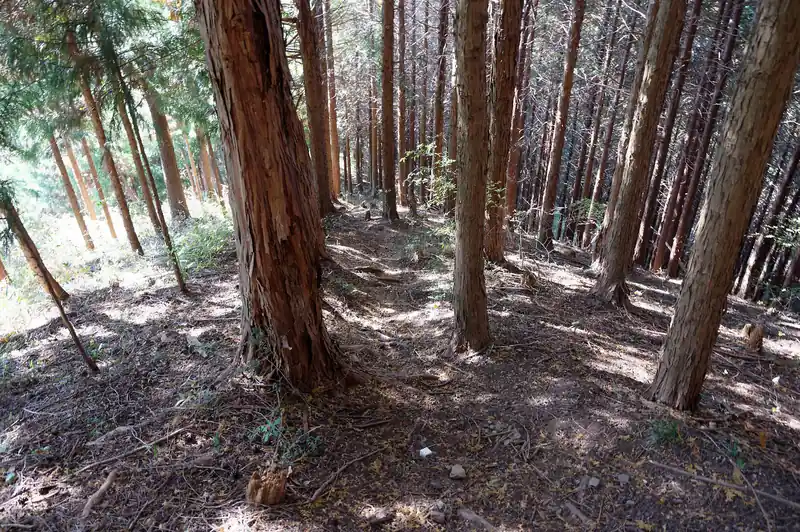 登山道に復帰して下っていきます。
ここで登ってくる登山者とすれ違いました。まさかこの山で人とすれ違うとは…予想外だぜ。