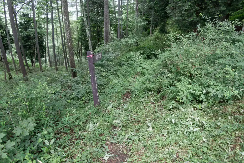 数馬温泉の方に降りれるらしいけど、だいぶ藪ってる気がする。通る人いるのかな。