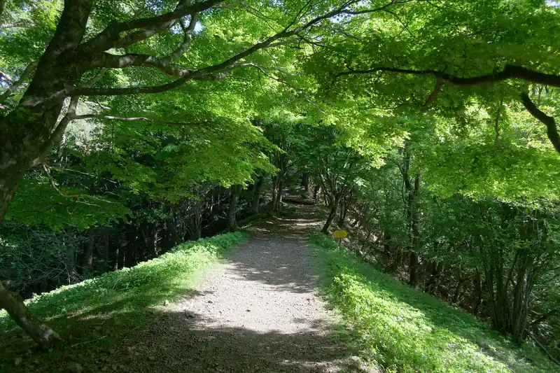 新緑の大倉尾根も中々良い。
なお、観音茶屋・見晴茶屋と通過していくに連れ、団子だった登山者も、早い人はどんどん先へ進み、あっという間に見えなくなった。
早い人は本当にペースが早いなあ、と感心。私もトレーニングを積んで余裕のある体力で山を歩けるようにならねば…。