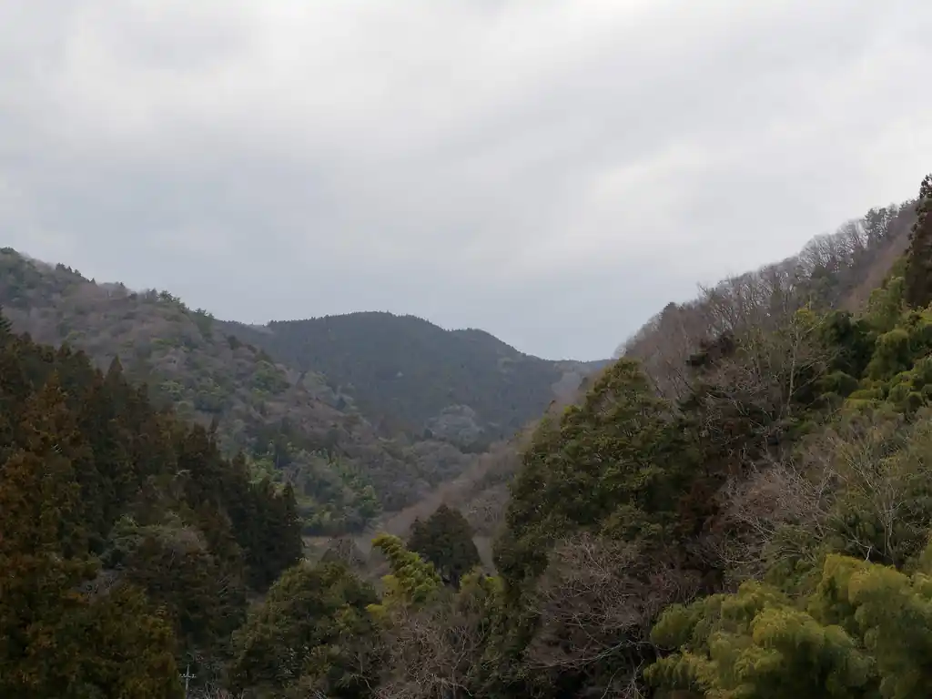 結局、和田バス停について時刻表を見るとバスまで1時間以上ある。
それなら、ということで歩いて藤野駅を目指すことにした。

道中歩いてきた稜線の方を見ていると、あの下りは連行山の下りなのではないか、と思うところがあったが…。