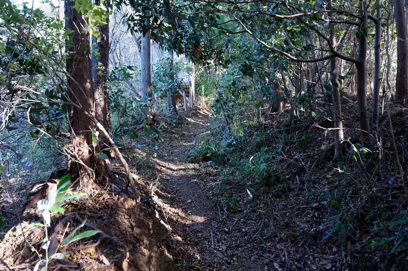 廃倉庫のような高床式の小屋が見えてきたら道は明瞭に。ここまでは若干わかりづらいものの、雰囲気で歩いていけば問題なし。
登りで歩く分にはそんなに問題にはならないはず。