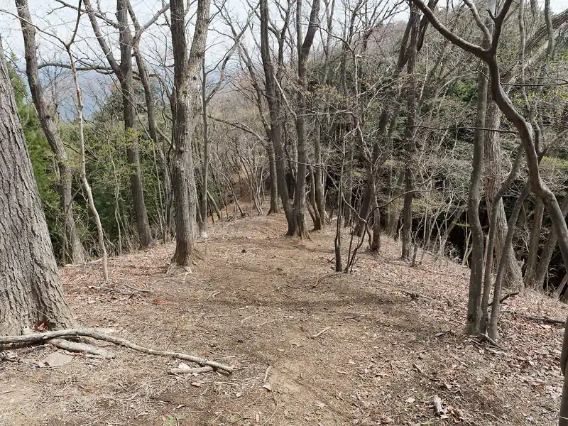 岩っぽい場所を抜けるとなんてことない尾根道へ。