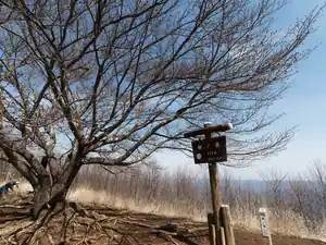 棒ノ折山から唐竹バス停まで歩く