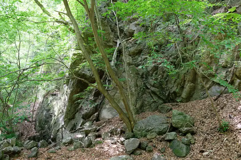 山側は巨石。
これもなかなか見応えあり。
