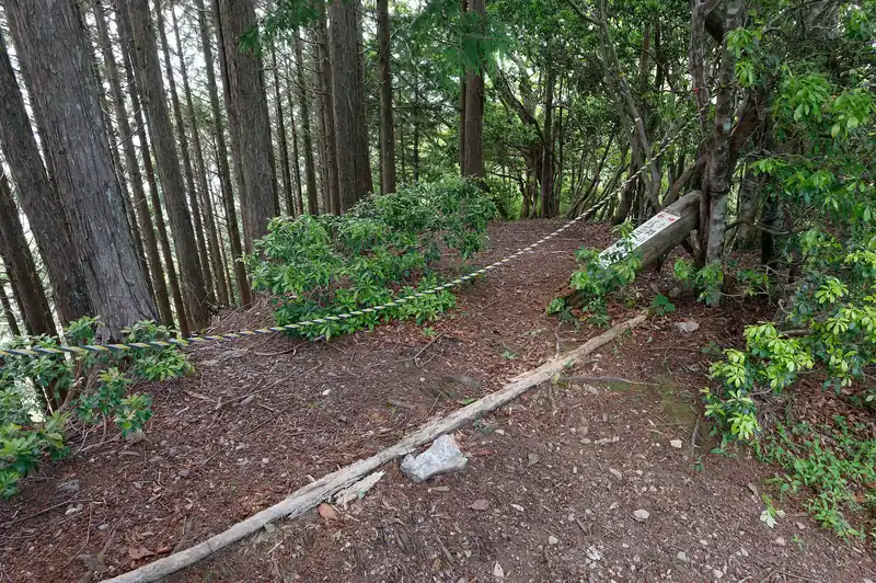 子持山から少し進んだところに高ワラビ尾根の入口。
かなりの急登が続くいやらしい尾根のようですが…。